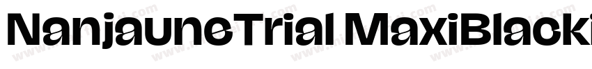 NanjauneTrial MaxiBlackitalic字体转换
